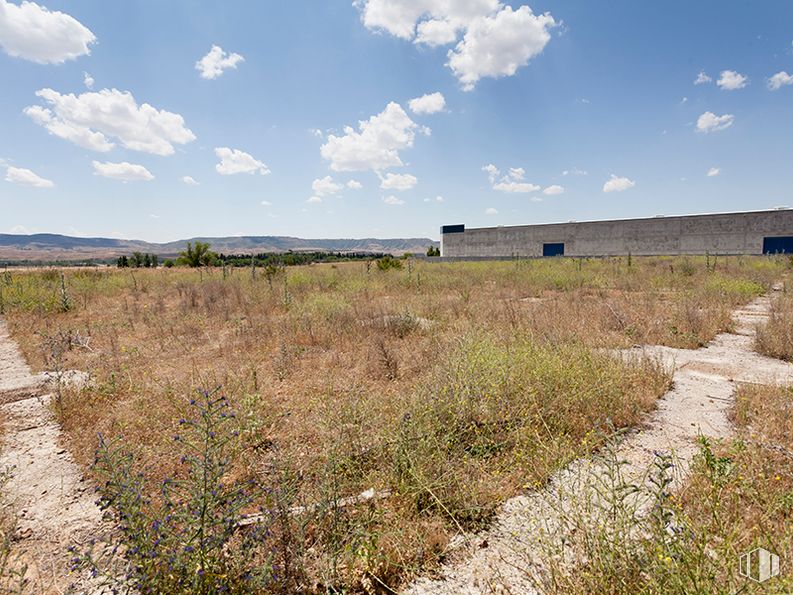 Land for sale at Calle Poseidón, Meco, Madrid, 28880 with building, cloud, sky, plant, natural landscape, land lot, grass, plain, tree and landscape around