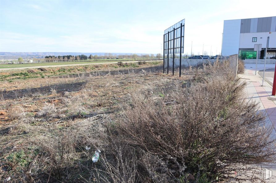 Land for sale at Calle Ramón y Cajal, Cabanillas del Campo, Guadalajara, 19171 with building, sky, plant, property, cloud, ecoregion, natural environment, land lot, grass and landscape around