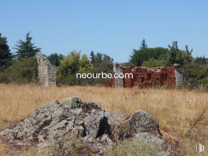 Land for sale at La Cañada, Herradón de Pinares, Ávila, 05294 with animal, plant, sky, plant community, ecoregion, tree, natural landscape, land lot, vegetation and bedrock around