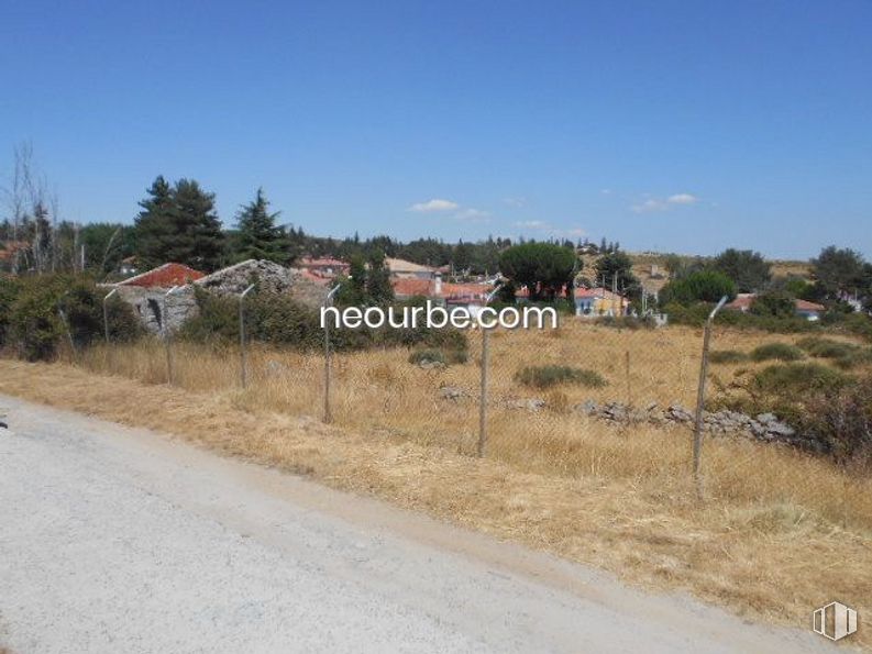 Land for sale at La Cañada, Herradón de Pinares, Ávila, 05294 with plant, sky, cloud, plant community, tree, building, natural landscape, land lot, house and grass around