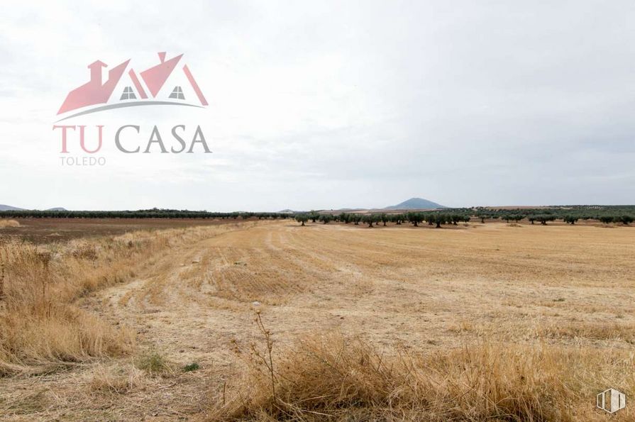 Land for sale at  Carretera de Cobisa a Burguillos, Cobisa, Toledo, 45111 with sky, plant, cloud, natural landscape, land lot, road, landscape, grass, font and grassland around