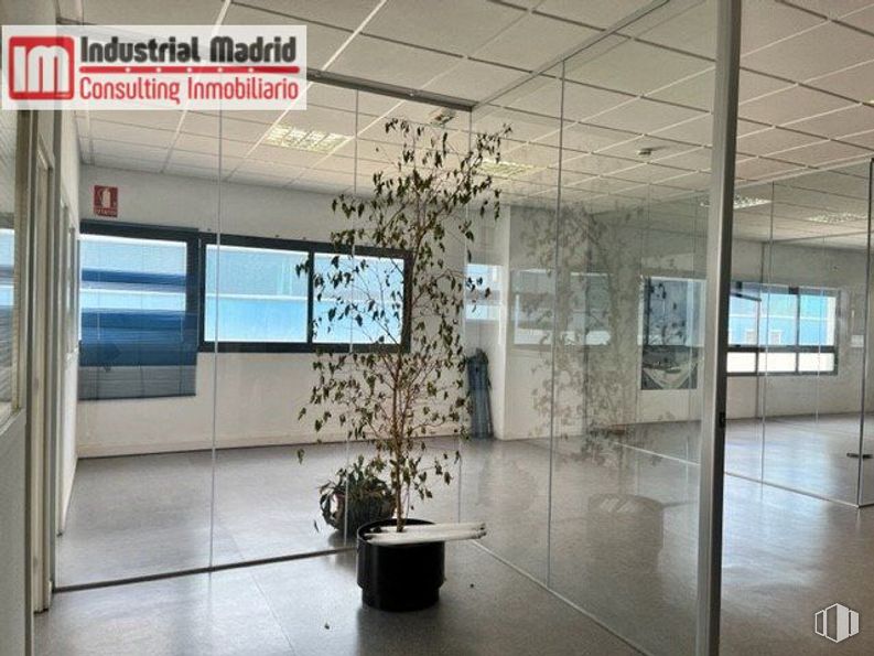 Nave en venta en Polígono Industrial San Fernando, San Fernando de Henares, Madrid, 28830 con ventana, planta, maceta, planta de interior, diseño de interiores, accesorio, edificio, piso, pavimento y techo alrededor