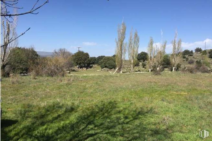 Land for sale at Polígono 10 Parcela, 139, Burgohondo, Ávila, 05113 with sky, plant, cloud, natural landscape, tree, plain, grass, landscape, shrub and wood around