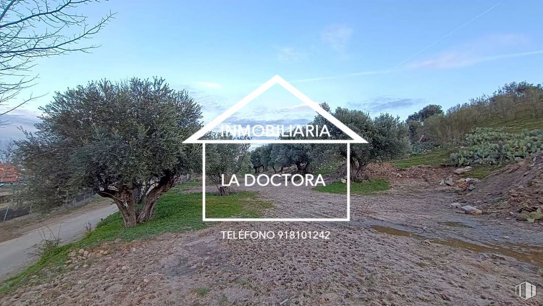 Suelo en venta en Paseo Estación, Villamanta, Madrid, 28610 con cielo, planta, comunidad vegetal, nube, árbol, paisaje natural, lote de terreno, hierba, sombra y paisaje alrededor