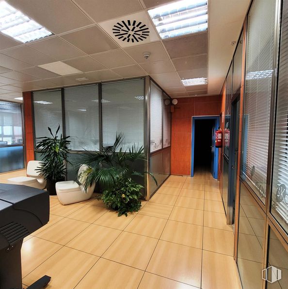 Office for sale & for rent at Calle María Tubau, Fuencarral - El Pardo, Madrid, 28050 with houseplant, furniture, plant, fixture, building, interior design, architecture, flooring, floor and door around