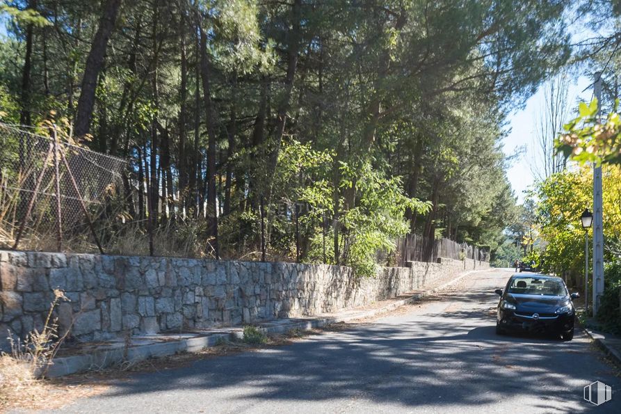 Land for sale at Calle Pino, Las Navas del Marqués, Ávila, 05239 with car, plant, vehicle, wheel, tire, road surface, tree, asphalt, shade and automotive lighting around