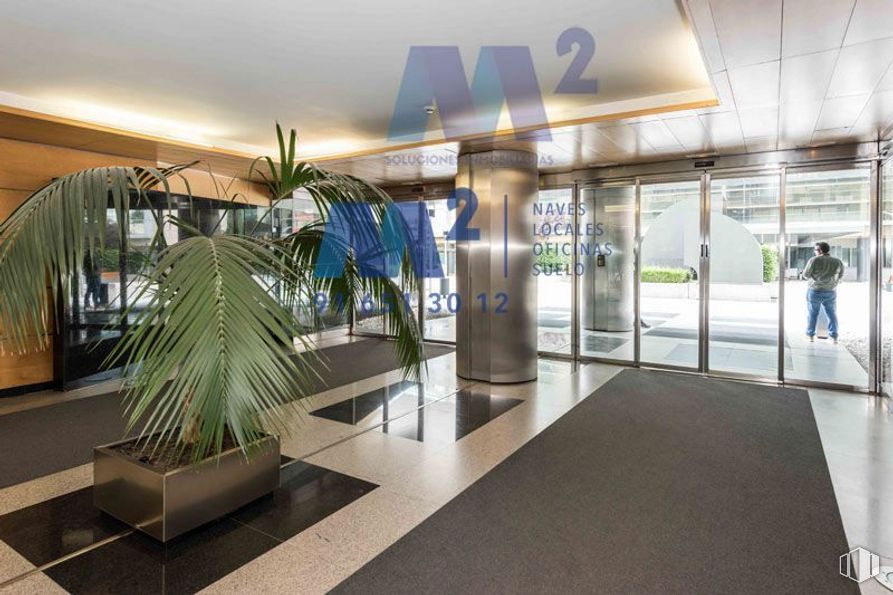 Oficina en alquiler en Zona Rivas-Vaciamadrid, Rivas-Vaciamadrid, Madrid, 28529 con planta de interior, maceta, persona, planta, diseño de interiores, piso, pavimentos, diseño urbano, fachada y techo alrededor