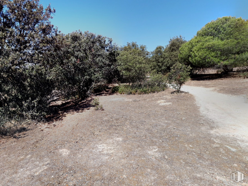 Suelo en venta en Cerro del Espino, Majadahonda, Madrid, 28220 con cielo, planta, paisaje natural, superficie de la carretera, árbol, hierba, paisaje, lecho de roca, asfalto y arbusto alrededor