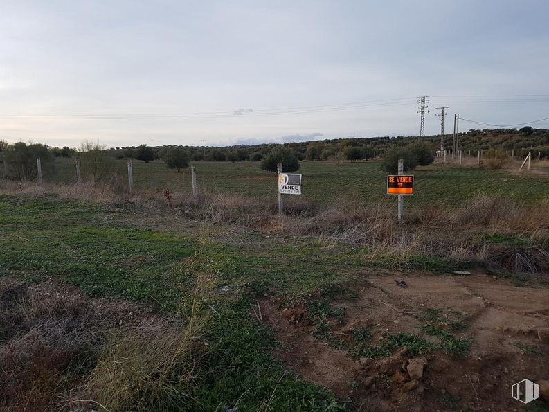 Land for sale at Carretera 401, Guadamur, Toledo, 45160 with sky, plant, cloud, natural landscape, grass, slope, plain, grassland, landscape and shrub around