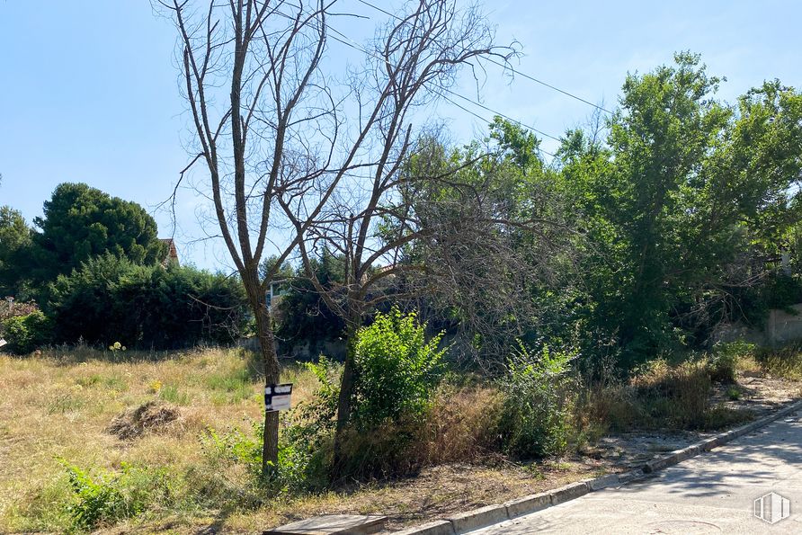 Suelo en venta en Calle Andrés Cabrera, 9, Chinchón, Madrid, 28370 con planta, cielo, paisaje natural, terreno, superficie de la carretera, árbol, hierba, asfalto, cobertura del suelo y ramita alrededor