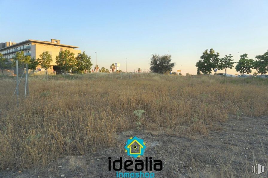 Suelo en venta en Zona La Montaña-Cortijo de San Isidro, Aranjuez, Madrid, 28300 con edificio, cielo, planta, paisaje natural, árbol, ventana, llanura, mañana, paisaje y pastizal alrededor