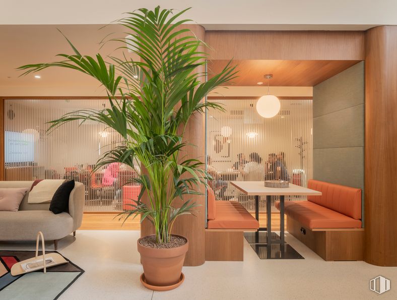 Oficina en alquiler en Calle Velázquez, 34, Salamanca, Madrid, 28001 con sofá, planta de interior, maceta, alumbrado, mesa, planta, mueble, propiedad, diseño de interiores y pavimento alrededor