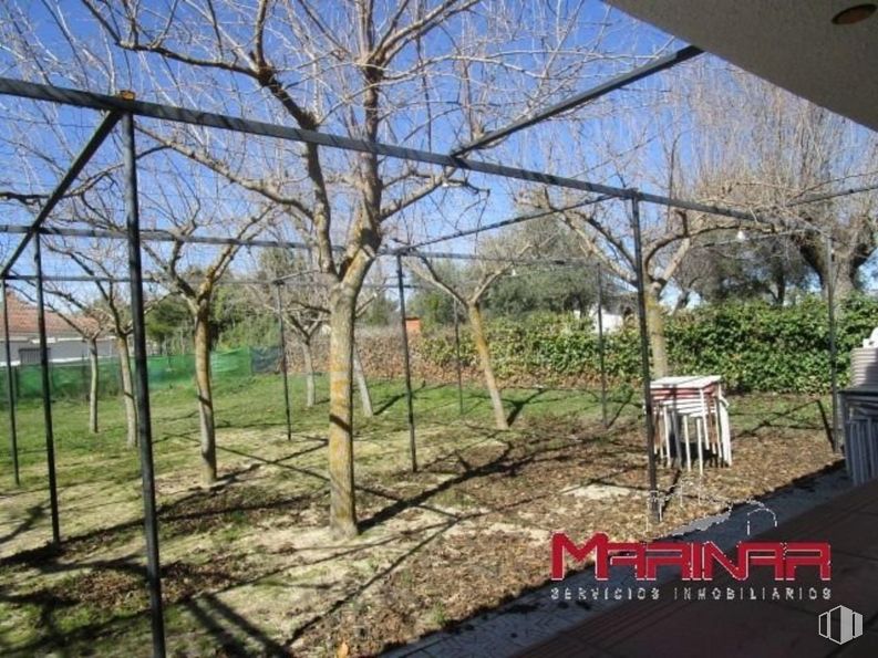 Local en venta en Zona Nuevo Borox, Borox, Toledo, 45222 con cielo, planta, lote de terreno, árbol, sombra, paisaje, hierba, ramita, suelo y evento alrededor