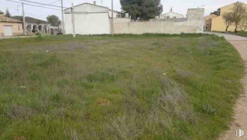 Land for sale at Calle Portillo, Pozorrubio, Cuenca, 16410 with house, sky, plant, land lot, tree, grass, grassland, landscape, groundcover and grass family around