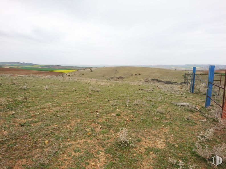 Land for sale at Zona Arroyo del Barranquillo, Torrejón del Rey, Guadalajara, 19174 with sky, cloud, natural landscape, land lot, terrain, grass, grassland, fence, plain and landscape around