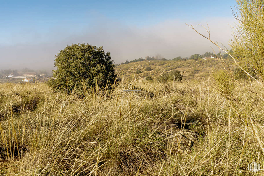 Land for sale at Urbanización La Pozuela, Toledo, 45004 with plant, cloud, sky, natural landscape, vegetation, land lot, grass, shrub, grassland and plain around