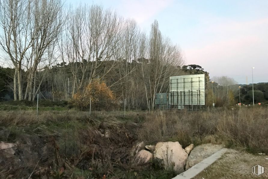 Land for sale at Avenida Marcial Llorente, 6, Pelayos de la Presa, Madrid, 28696 with building, sky, plant, cloud, natural landscape, land lot, vegetation, tree, wood and grass around