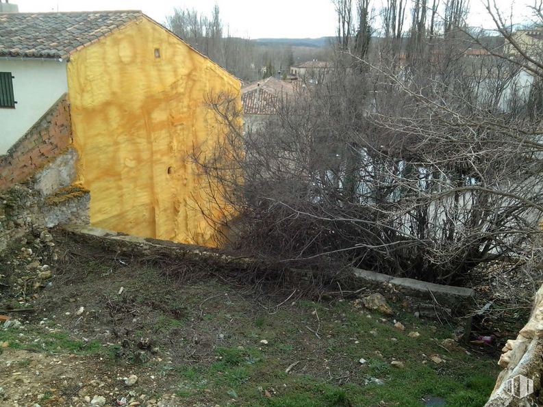 Land for sale at La Balsa, Cifuentes, Guadalajara, 19420 with house, plant, land lot, sky, natural landscape, wood, tree, slope, landscape and twig around