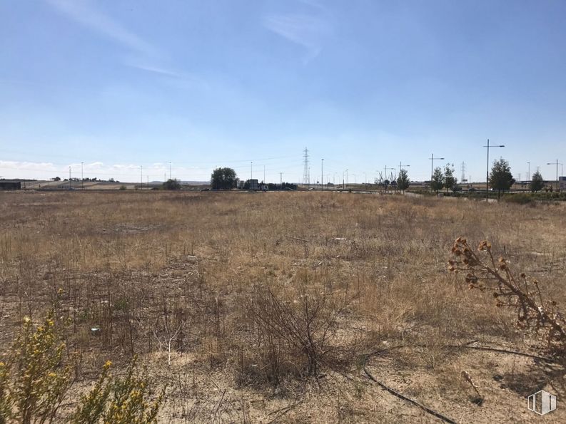 Suelo en venta en Calle Ilustradores, 14, Pinto, Madrid, 28320 con cielo, planta, nube, paisaje natural, lote de terreno, pradera, árbol, llano, paisaje y hierba alrededor