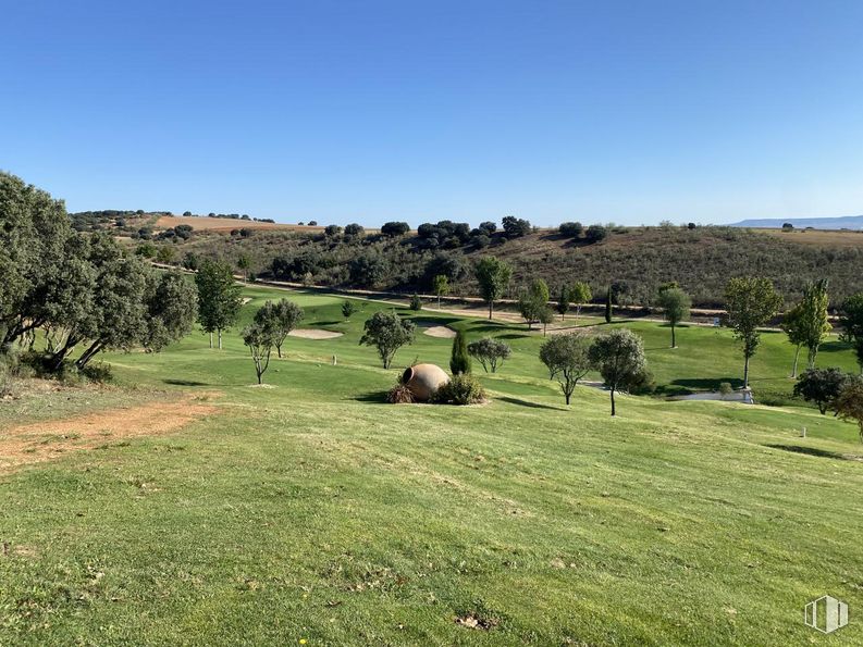 Suelo en venta en Campo de Golf Green Sire Golf, Cabanillas del Campo, Guadalajara, 19171 con animal, cielo, planta, paisaje natural, árbol, hierba, llano, pradera, paisaje y prado alrededor