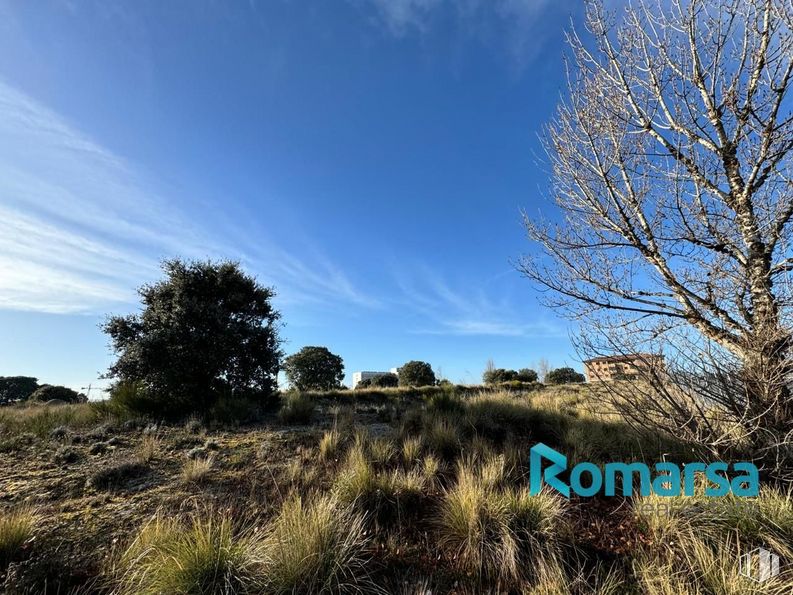 Land for sale at Calle Zurra, 1, Ávila, 05004 with cloud, plant, sky, plant community, ecoregion, natural landscape, azure, branch, tree and vegetation around