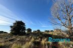 Land for sale at Calle Zurra, 1, Ávila, 05004 with cloud, plant, sky, plant community, ecoregion, natural landscape, azure, branch, tree and vegetation around