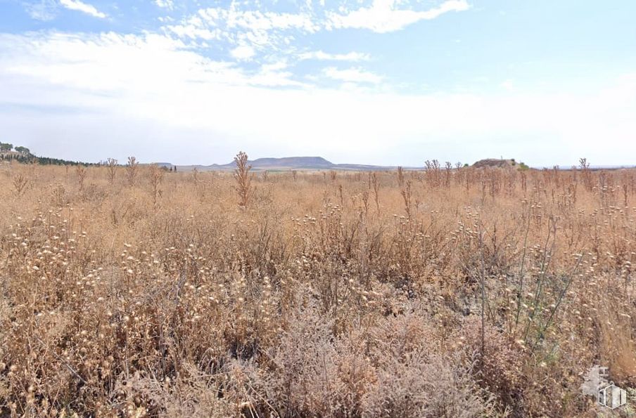 Suelo en venta en Lugar Zerzula, Cabañas de la Sagra, Toledo, 45592 con nube, cielo, planta, comunidad de plantas, paisaje natural, rama, lote de tierra, madera, agricultura y planta leñosa alrededor