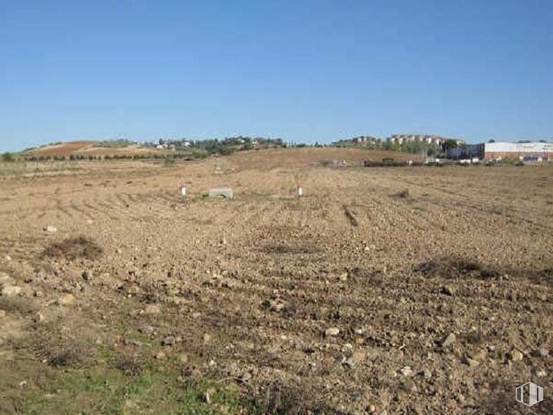 Suelo en venta en Calle Río Tajo, Algete, Madrid, 28110 con cielo, planta, paisaje natural, pradera, hierba, paisaje, pendiente, pradera, agricultura y campo alrededor