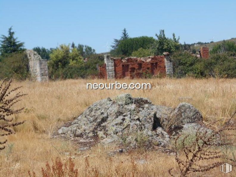 Land for sale at La Cañada, Herradón de Pinares, Ávila, 05294 with plant, sky, plant community, natural landscape, tree, land lot, bedrock, biome, wall and grassland around