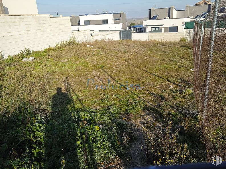 Oficina en venta en Avenida 25 de Noviembre, Moraleja de Enmedio, Madrid, 28950 con edificio, planta, comunidad vegetal, ventana, cielo, vegetación, lote de terreno, hierba, pendiente y cubierta vegetal alrededor