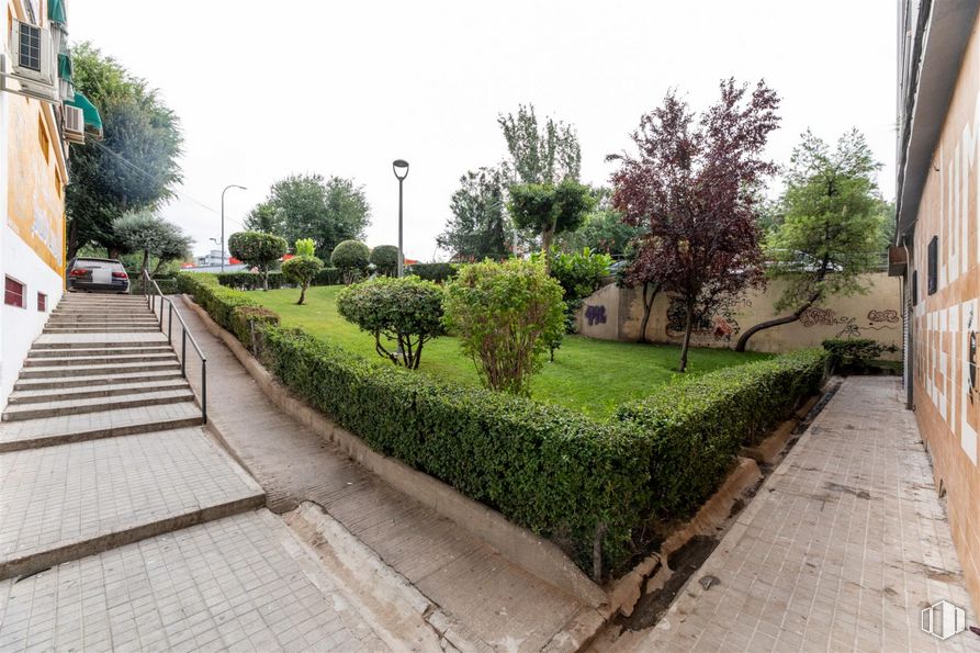 Retail for sale at Carlos Arniches, Móstoles, Madrid, 28935 with plant, sky, road surface, building, street light, asphalt, urban design, tree, grass and sidewalk around