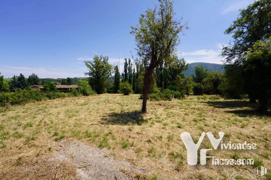 Land for sale at Calle Bajada Escorial, 1, Riaza, Segovia, 40500 with plant, sky, plant community, cloud, tree, natural landscape, landscape, grass, grassland and plain around