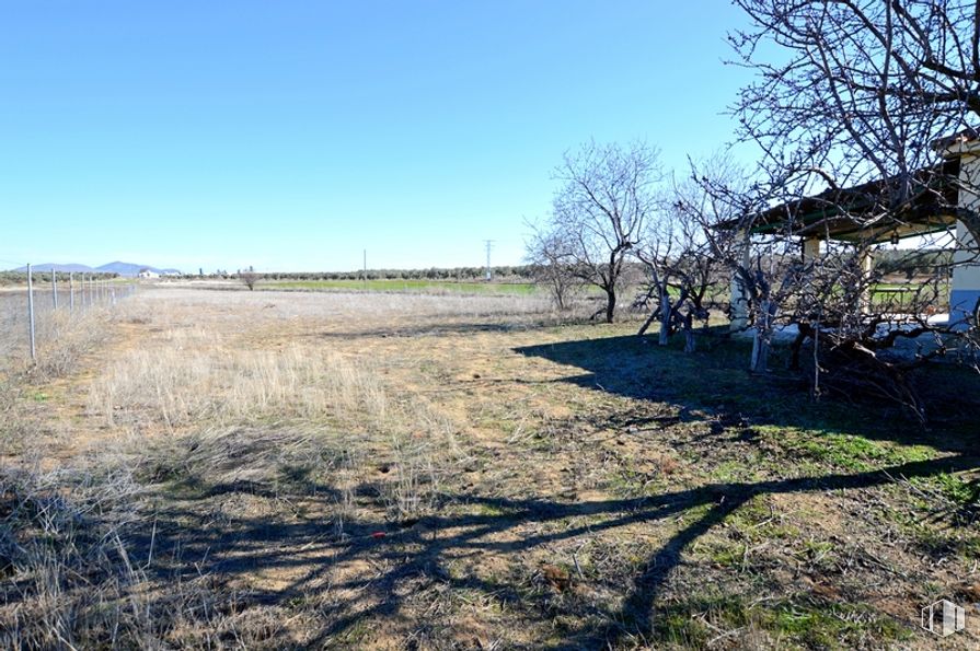 Land for sale at Zona Camino de Jumela, Gálvez, Toledo, 45164 with sky, plant, natural landscape, tree, wood, grass, plain, landscape, grassland and meadow around