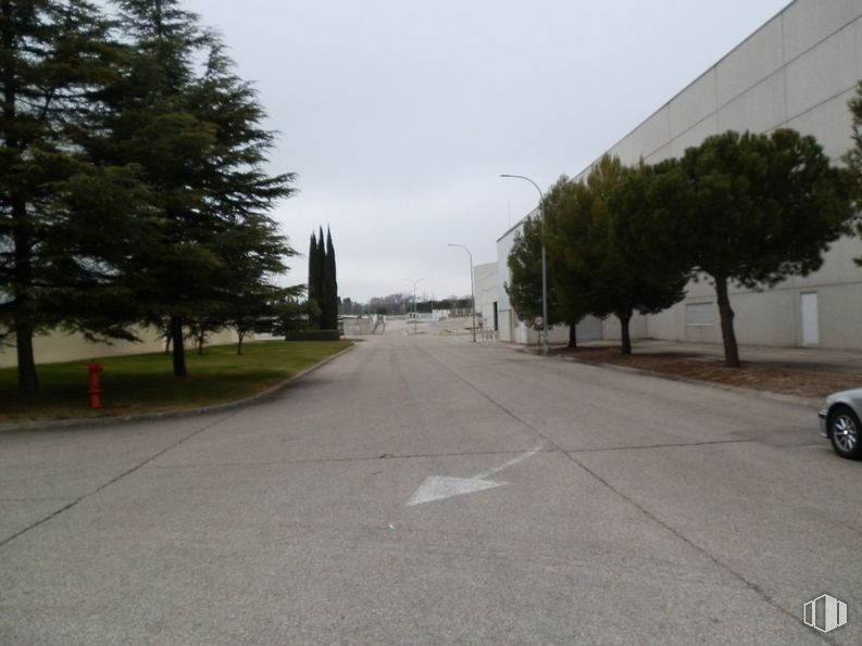 Nave en alquiler en Polígono Industrial Alcalá, Alcalá de Henares, Madrid, 28806 con edificio, cielo, planta, rueda, vehículo, árbol, neumático, coche, superficie de carretera y asfalto alrededor