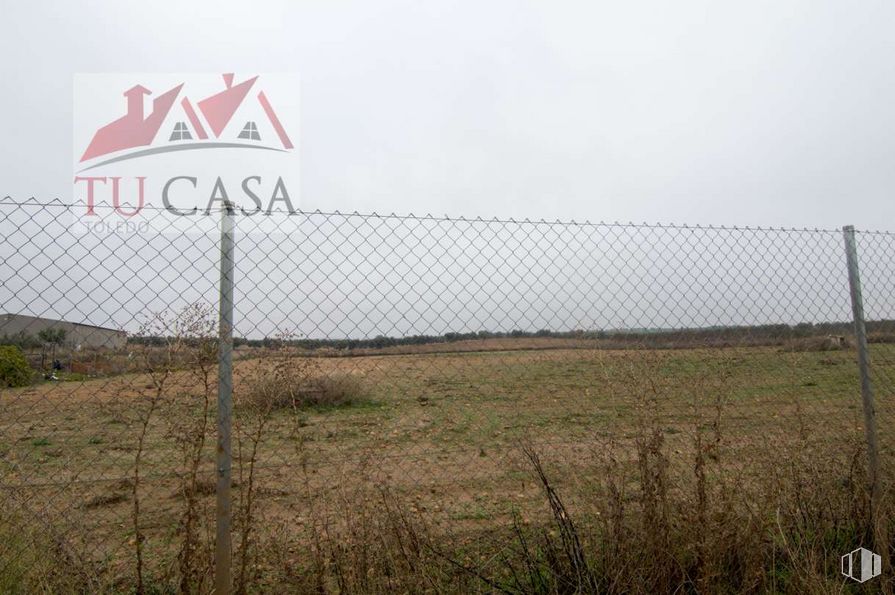 Land for sale at Camino Polán, S/N, Polán, Toledo, 45161 with plant, sky, ecoregion, fence, land lot, mesh, wire fencing, atmospheric phenomenon, natural landscape and plain around