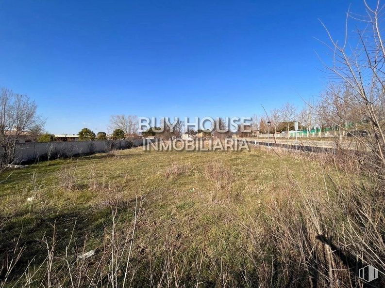 Suelo en venta en Urbanización Los Cisneros, Yeles, Toledo, 45220 con animal, cielo, planta, nube, paisaje natural, árbol, lote de terreno, llano, paisaje y pradera alrededor