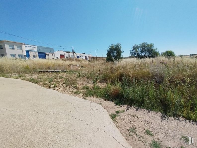 Land for sale at Calle Silo, San Lorenzo de la Parrilla, Cuenca, 16770 with sky, plant, land lot, tree, natural landscape, road surface, house, plain, grassland and asphalt around