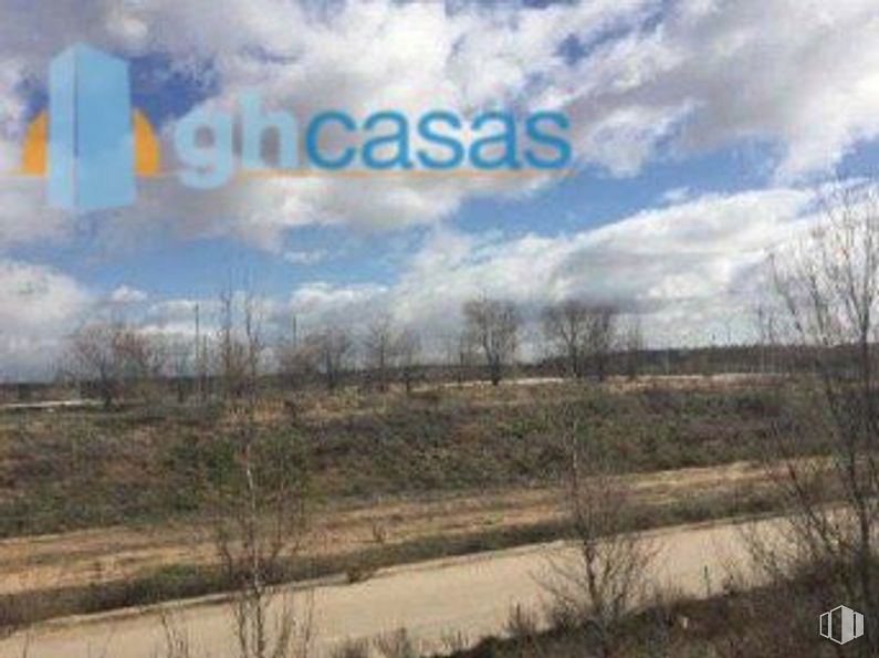 Land for sale at Calle Villagonzalo Pedernales, Vicálvaro, Madrid, 28052 with cloud, plant, sky, natural landscape, tree, cumulus, horizon, grassland, landscape and grass around