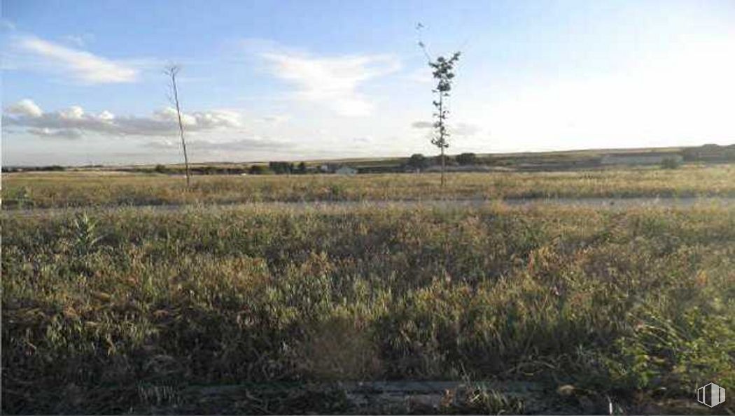 Suelo en venta en Calle Angarillas, Quer, Guadalajara, 19209 con nube, cielo, planta, paisaje natural, árbol, llanura, hierba, pastizal, planta terrestre y paisaje alrededor