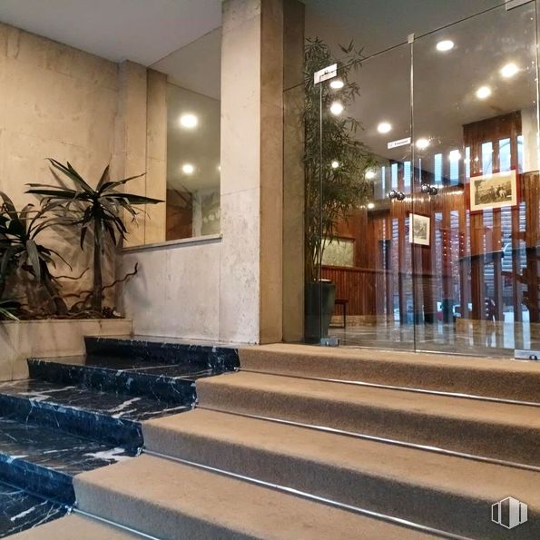 Office for rent at Paseo Castellana, Tetuán, Madrid, 28046 with houseplant, flooring, floor, interior design, ceiling, tile flooring, flowerpot, glass, lobby and wood stain around