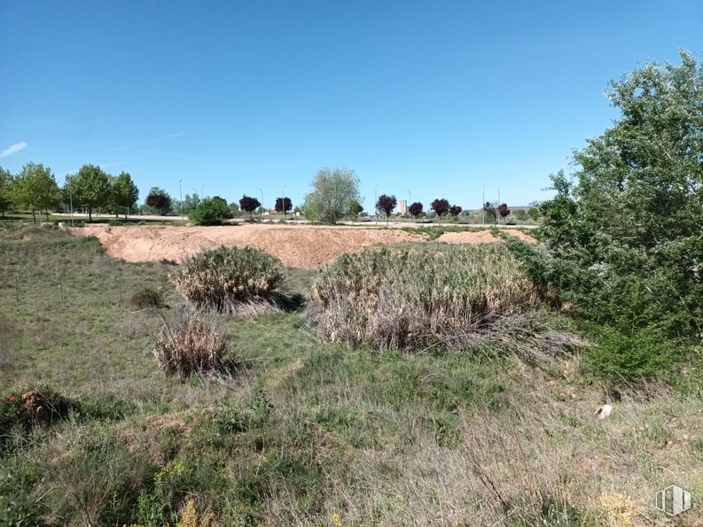 Land for sale at Calle Acebeda, Guadalajara, 19005 with sky, plant, tree, natural landscape, grass, landscape, grassland, road, shrub and prairie around