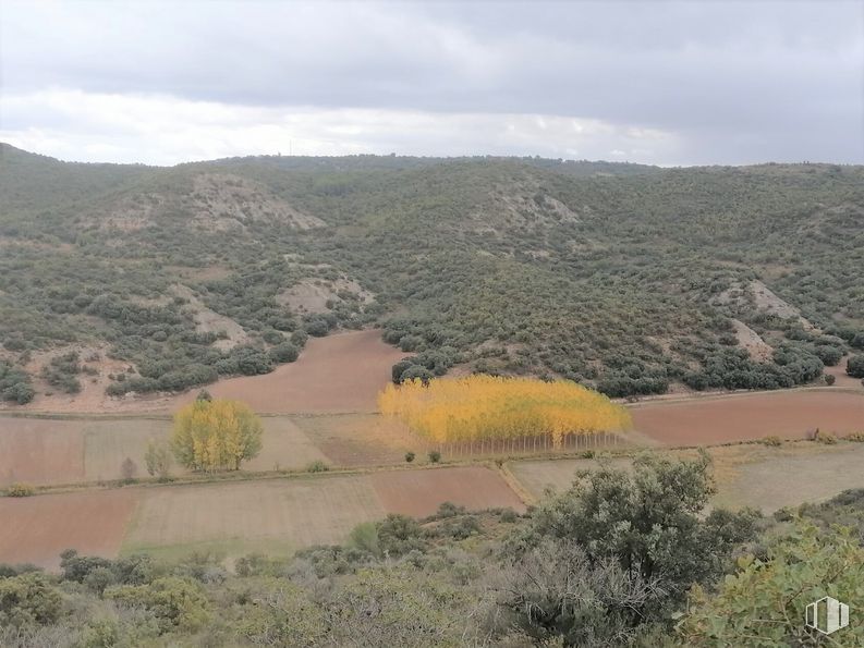 Land for sale at Monte Cutradas, Renera, Guadalajara, 19145 with hat, plant, cloud, sky, plant community, mountain, natural landscape, tree, plain and grassland around