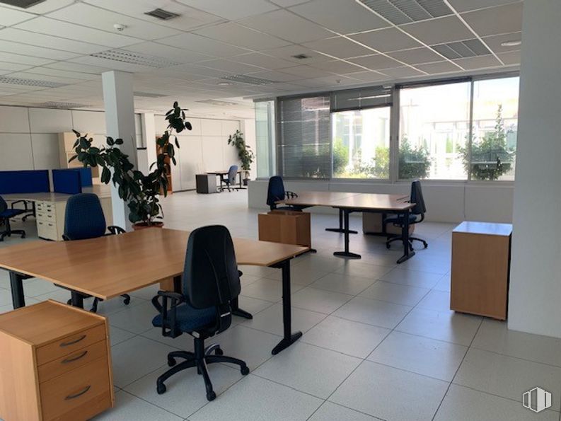 Oficina en venta en Edificio Oficant, Ronda Poniente, 15, Tres Cantos, Madrid, 28760 con silla, archivador, escritorio, mesa, mueble, edificio, planta, planta de interior, ventana y interiorismo alrededor