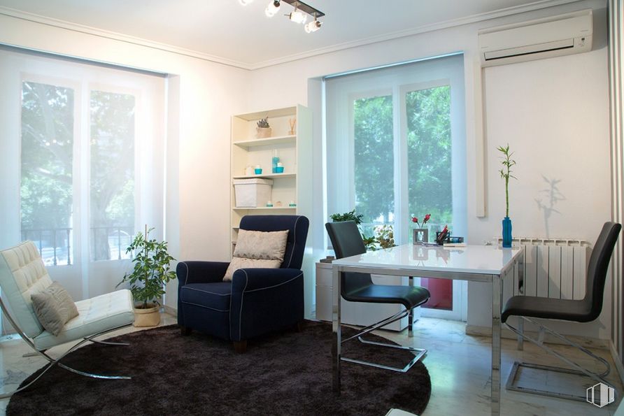 Oficina en alquiler en Glorieta Ruiz Jiménez, 4, Chamberí, Madrid, 28015 con silla, planta de interior, planta, mueble, propiedad, mesa, azul, azur, diseño de interiores, ventana, planta de casa y madera alrededor