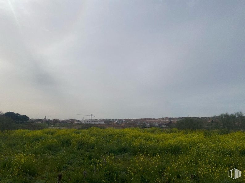 Land for sale at Calle Caspueñas, Cabanillas del Campo, Guadalajara, 19171 with sky, plant, cloud, natural landscape, grass, grassland, landscape, plain, horizon and meadow around