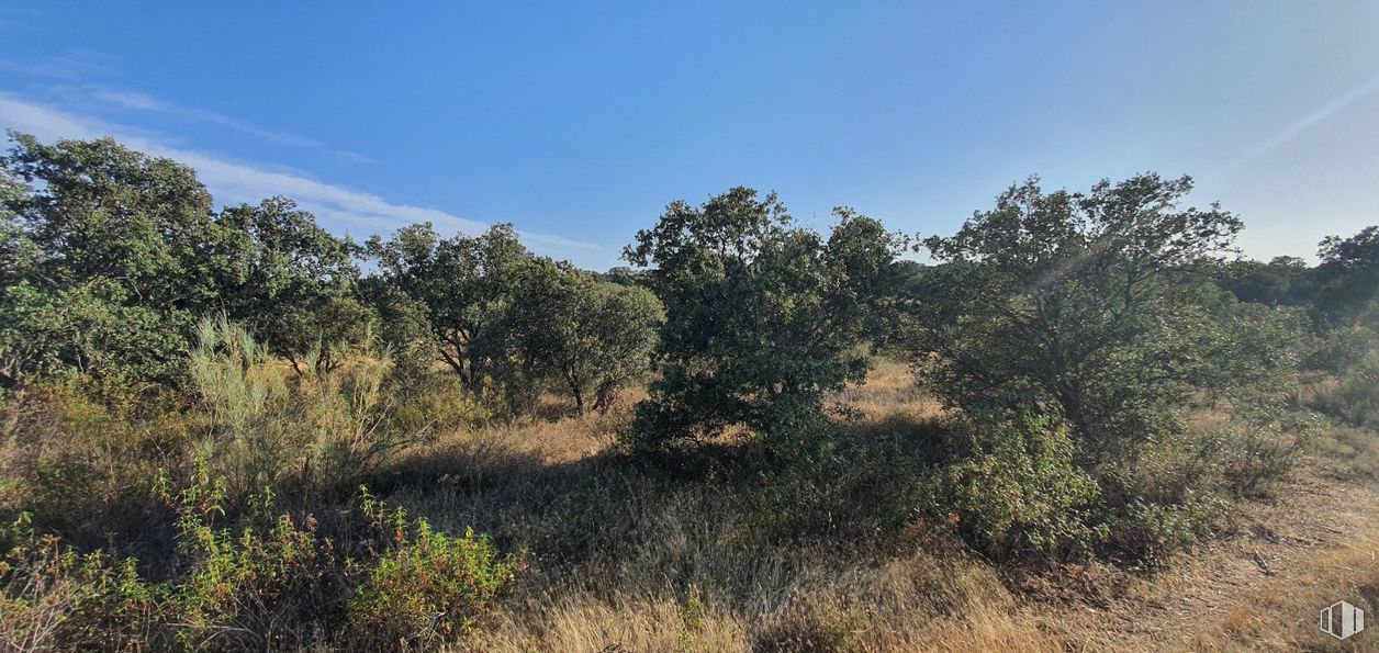 Land for sale at Urbanización Sector 1, Hormigos, Toledo, 45919 with hat, sky, plant, cloud, natural landscape, tree, grass, landscape, shrub and grassland around