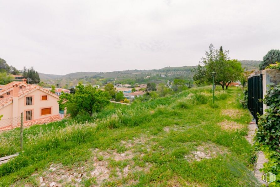 Land for sale at Calle San Roque, Valverde de Alcalá, Madrid, 28812 with house, plant, plant community, sky, window, natural landscape, tree, land lot, vegetation and cloud around