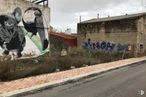 Land for sale at Calle Caño, 81, Guadalix de la Sierra, Madrid, 28794 with animal, building, sky, cloud, paint, plant, art, graffiti, wall and asphalt around