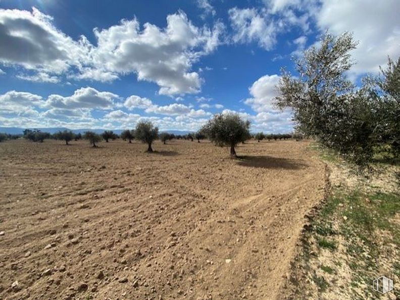 Land for sale at Carretera Sonseca - Casalgordo, Sonseca, Toledo, 45100 with cloud, sky, plant, natural landscape, tree, grass, landscape, cumulus, road and plain around