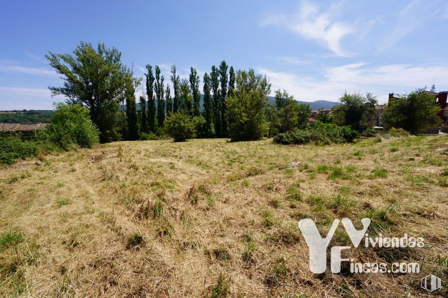 Land for sale at Calle Bajada Escorial, 1, Riaza, Segovia, 40500 with sky, cloud, plant, plant community, tree, natural landscape, grassland, landscape, shrub and terrestrial plant around